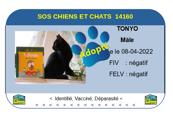 Cia tonyo png