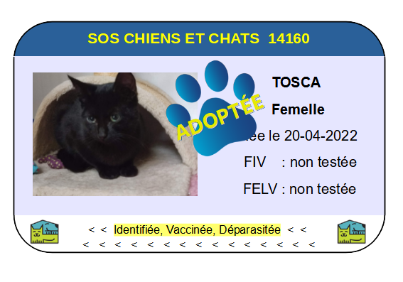 Cia tosca