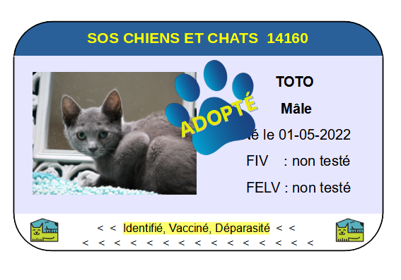 Cia toto
