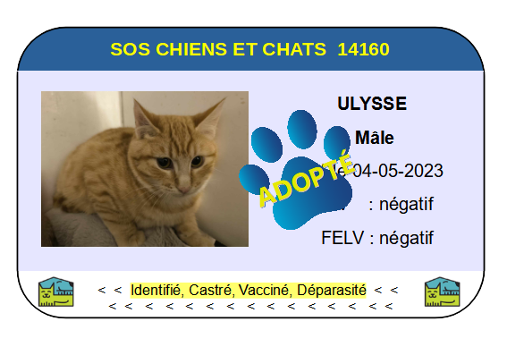 Cia ulysse 2