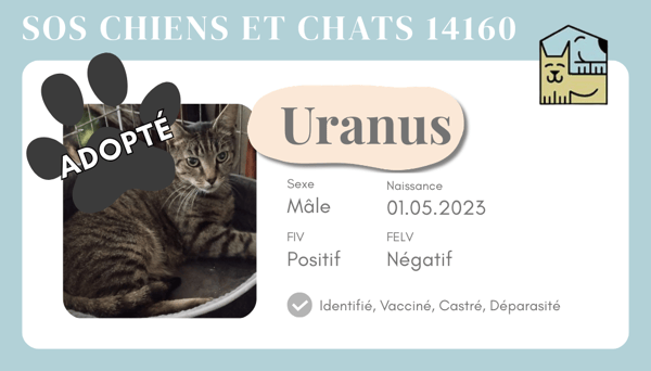 Cia uranus