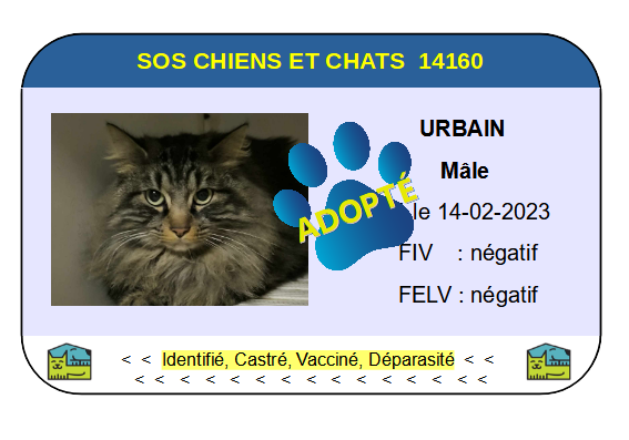Cia urbain
