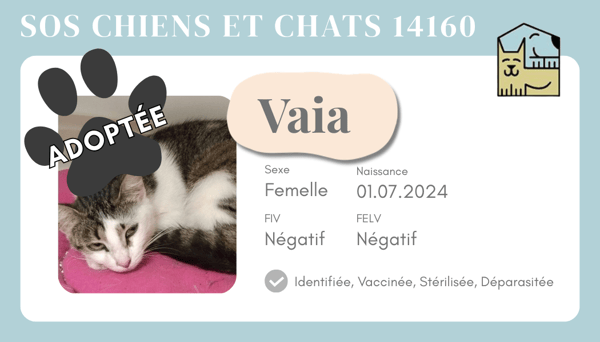 Cia vaia