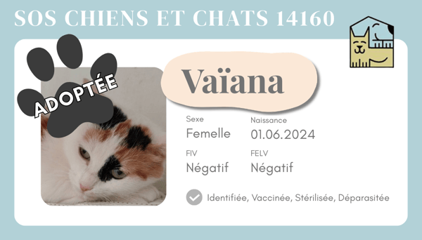 Cia vaiana