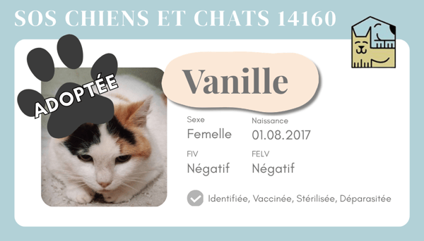 Cia vanille