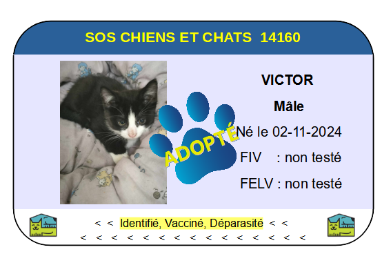 Cia victor