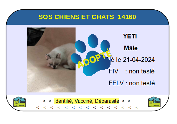 Cia yeti