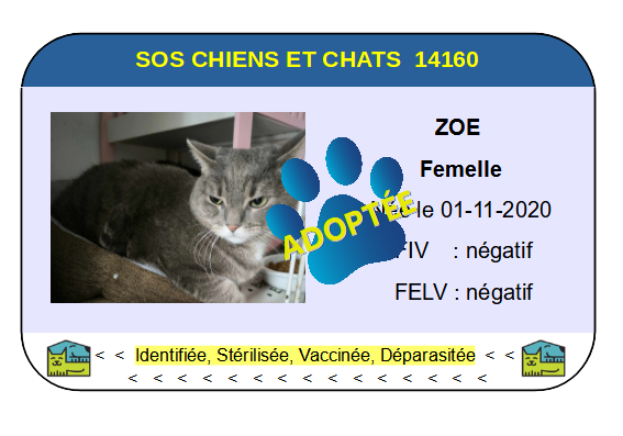 Cia zoe copie 2